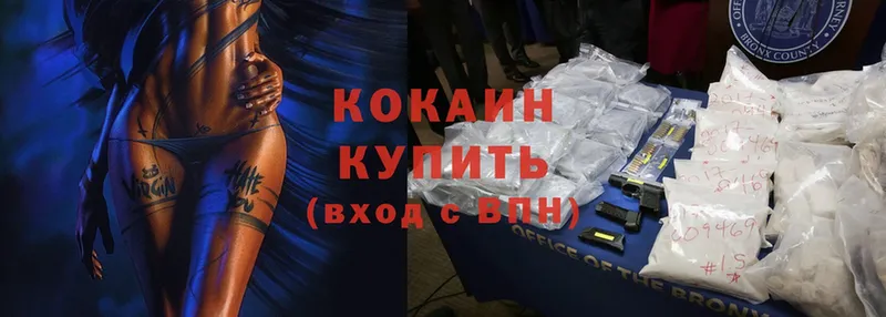 Cocaine FishScale  где можно купить наркотик  Рассказово 